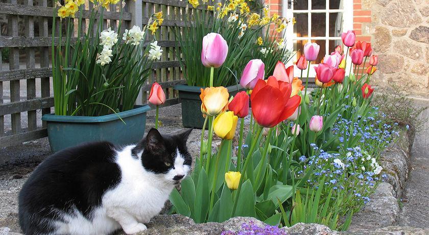 Budleigh Farm Cottages Moretonhampstead Esterno foto