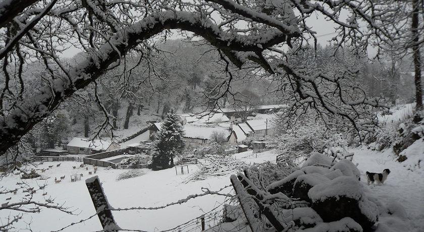 Budleigh Farm Cottages Moretonhampstead Esterno foto